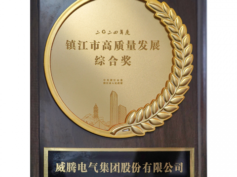 喜讯│J9集团荣获2024年度镇江市高质量发展综合奖