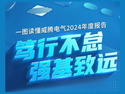 一图读懂J9集团电气2024年度汇报